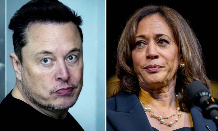 Elon Musk, Who Demands Equal Treatment From Advertisers, Calls Harris a Communist