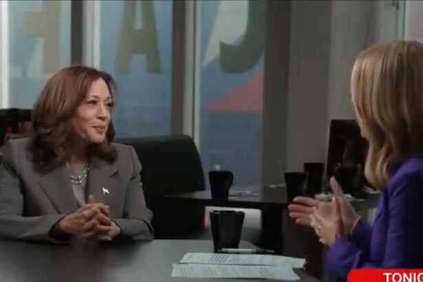 'Same Old, Tired Playbook. Next Question, Please': Kamala Harris Brushes Off Trump's Racist Attack in CNN Interview