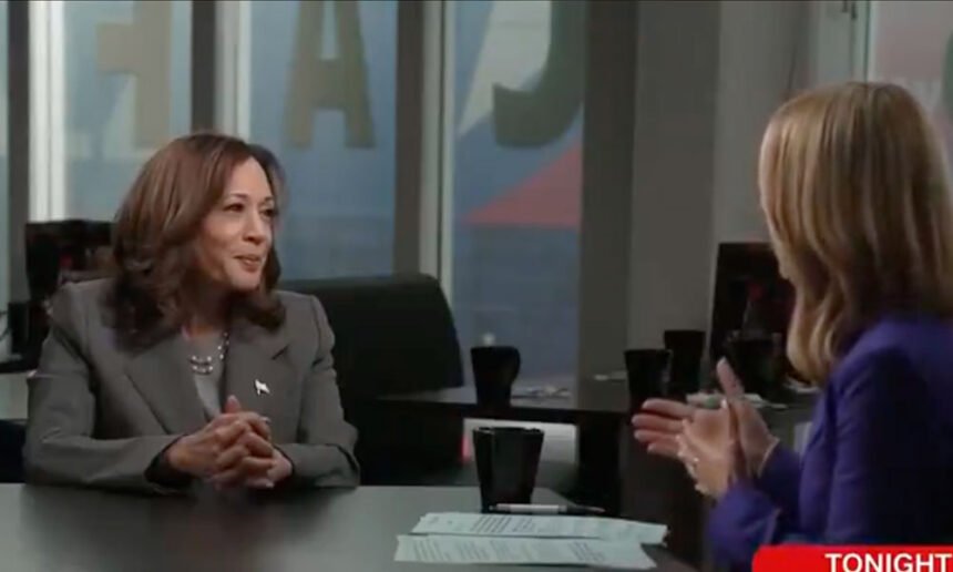 'Same Old, Tired Playbook. Next Question, Please': Kamala Harris Brushes Off Trump's Racist Attack in CNN Interview