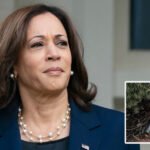 Kamala Harris Narrowly Avoided Pipe Bomb During Capitol Riot; FBI Still Searching For Suspect