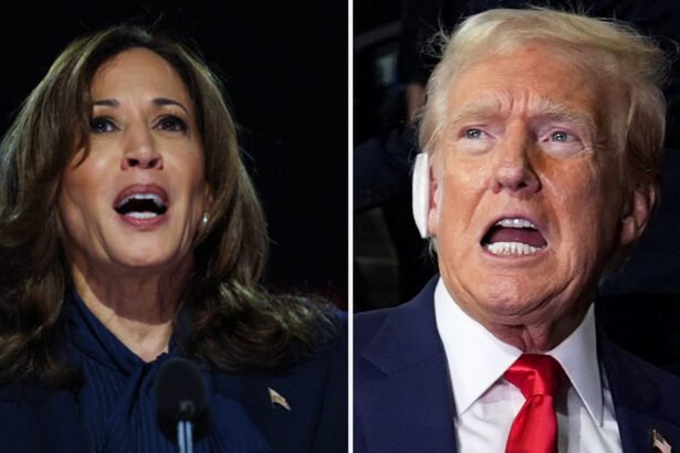 Newly Released TV Ratings: Trump Soundly Beaten by Kamala Harris in Viewership