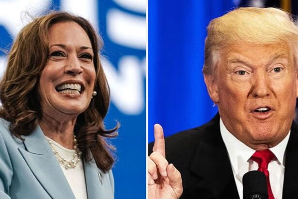 Latest Polls: Harris Gains Lead Over Trump Nationally, Battleground States Remain Competitive