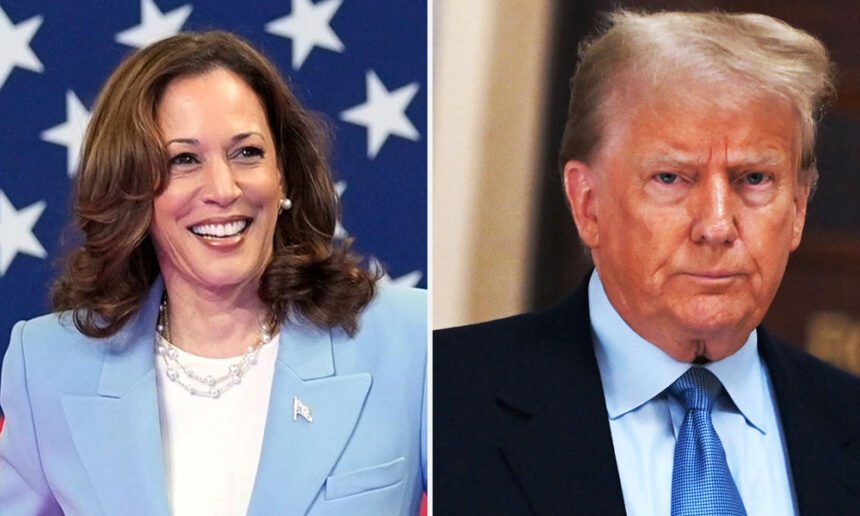 Harris Campaign Obliterates Trump’s Baseless Fake Crowd Claims With Blistering Response