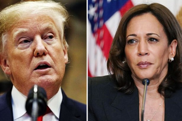 Harris Campaign Flames Trump Over Disparaging Comments on Military Awards