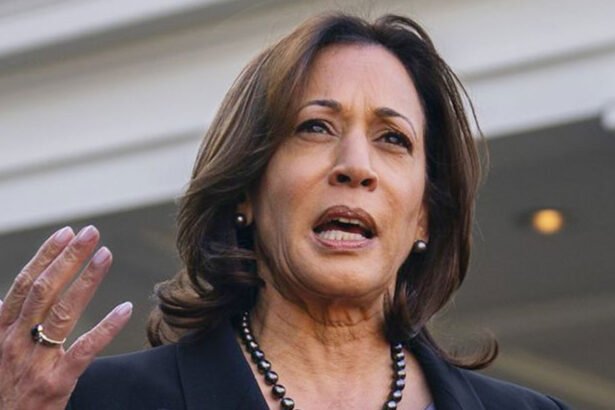 Harris Campaign Slams Trump as 'Too Scared,' Demands He 'Man Up' And Debate