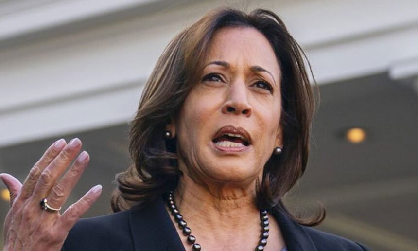 Harris Campaign Slams Trump as 'Too Scared,' Demands He 'Man Up' And Debate