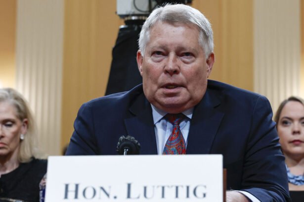 former federal appeals court Judge J. Michael Luttig endorses Kamala Harris.