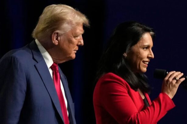 Tulsi Gabbard Announces Endorsement of Trump For 2024 Election