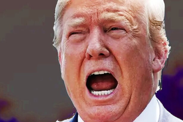 Trump Is Having an Absolute Nervous Breakdown, Posting All-Caps Rants Like a Madman Every 30 Seconds In Response To Harris's DNC Speech