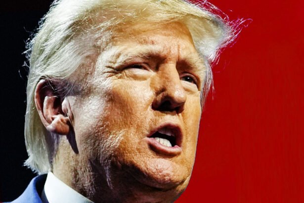 Trump Whines That 'It's Very Difficult to Campaign' Because 'Crazy' Kamala Harris is Using His Felony Conviction Against Him