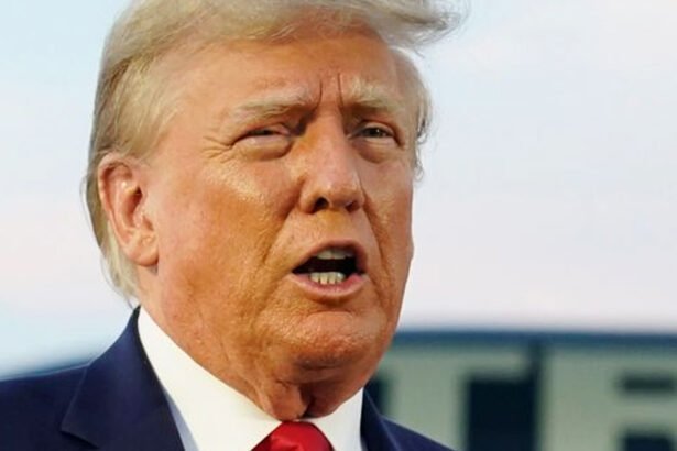 Trump Drowned in Mockery For Complaining About a 'Pro-Criminal Atmosphere'