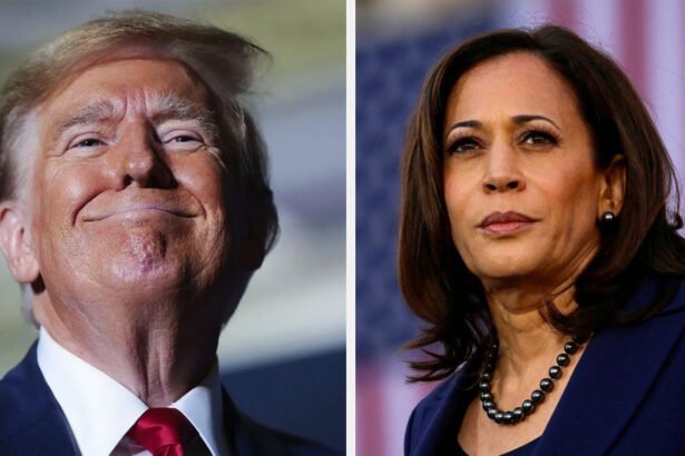 'WTF is he on?': People Grossed Out by Trump Fantasizing That Kamala Harris Looks Like His Wife Melania