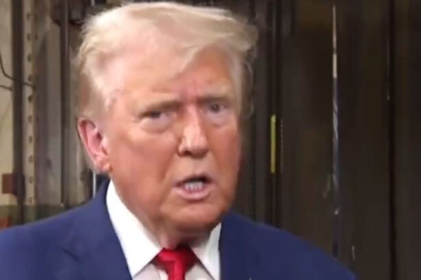 Trump Calls Himself 'a Very Bright Person'