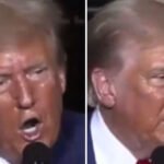 'What Color Is He Now?': Trump’s ‘New Hue,’ Excessive Sweating, and ‘Dripping Bronzer’ Spark Drug Rumors at Michigan Rally