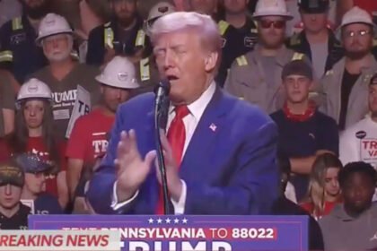 'Listen to This Heaping Pile of Hot Mess': Trump Roasted Over Rambling ‘Word Salad’ as He Claims ‘Cognitively Very Strong’