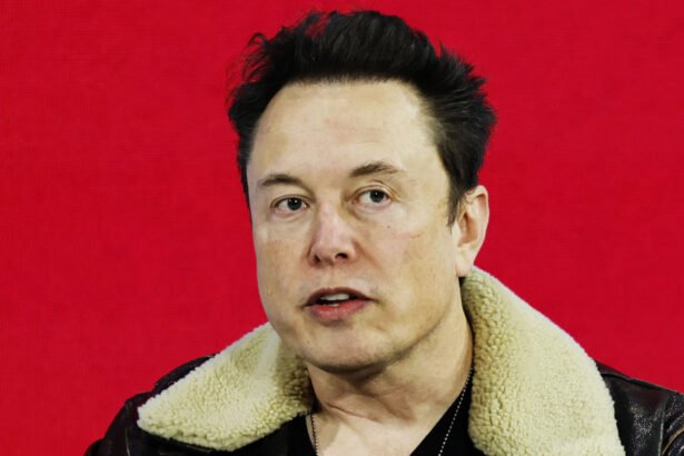 'You're Looking More And More Like a Lunatic': Internet Responds After Elon Musk Claims 'Democracy is Over' if Trump Doesn't Win