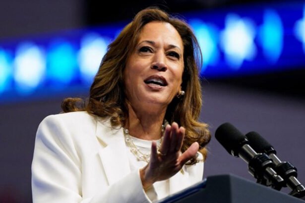 More Than 100 GOP National Security Figures and Lawmakers Endorse Kamala Harris, Say Trump is 'Unfit to Serve'