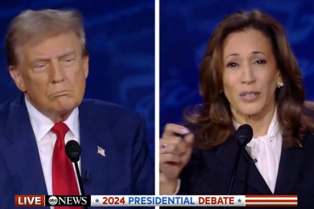 Harris Rattles Trump With 'Boring' Rallies Jab During Debate