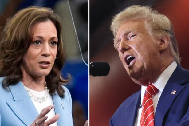 2024 election polls Donald Trump and Kamala Harris