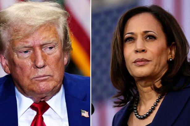 Kamala Harris Hits Back at Donald Trump’s Overtime Admission