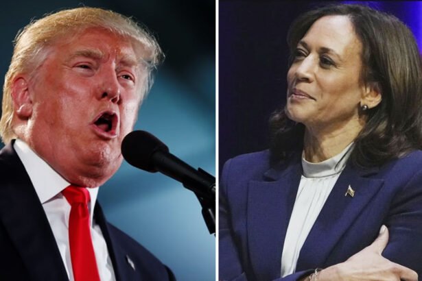 Trump 'Increasingly Irked' by Harris Ignoring Personal Attacks; Now He Plans to Drag Her Through the Mud to ‘Turn Voters Against Her’: Trump Adviser