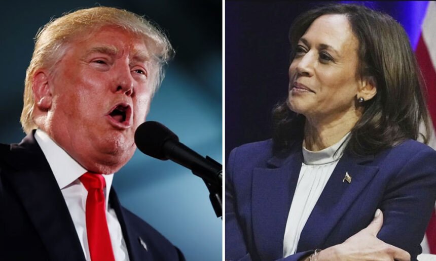 Trump 'Increasingly Irked' by Harris Ignoring Personal Attacks; Now He Plans to Drag Her Through the Mud to ‘Turn Voters Against Her’: Trump Adviser