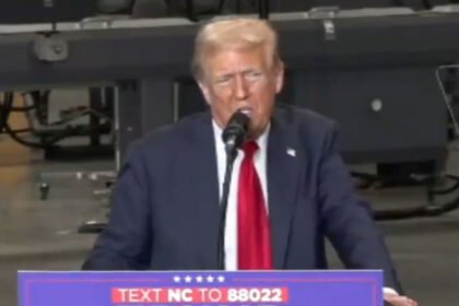 'Senile Weirdo': Donald Trump Slammed For Saying Seniors 'Should Have Their Heads Examined' for Supporting Harris