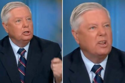 Graham Goes Into Frenzied Meltdown During Live Interview When Asked About Trump's 'Fascist' Rhetoric