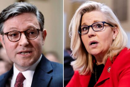 Mike Johnson Cries Foul After Liz Cheney Mops The Floor With Him In 'Tense' Text Exchange: Report