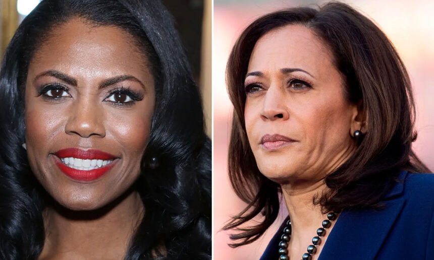 Omarosa Issues Stinging Rebuke of Trump as She Endorses Kamala Harris For President