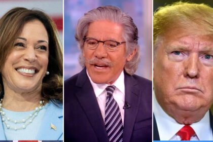 Geraldo Rivera Burns ‘Sore Loser’ Trump as He Endorses Kamala Harris for President