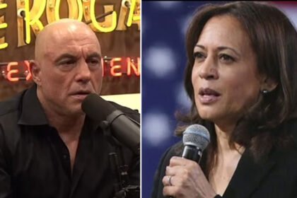 Joe Rogan Sabotaged Harris's Interview Opportunity to Boost Trump’s Image, Fox News Host Says