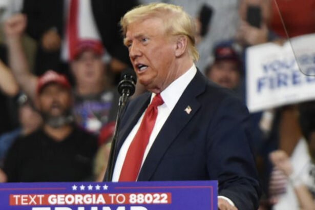 Trump Says Black and Latino Voters Who Support Harris Need Mental Health Checks