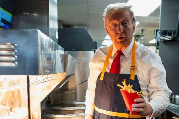 The McDonald's Branch Trump Worked at for His Photo Op Failed Health Inspection – Workers Blast The Stunt as 'Insulting Cosplay'