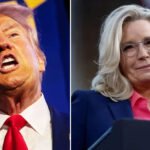 Trump Fuming Over Liz Cheney's 'Spray-Tanning' Jab at Kamala Harris Rally