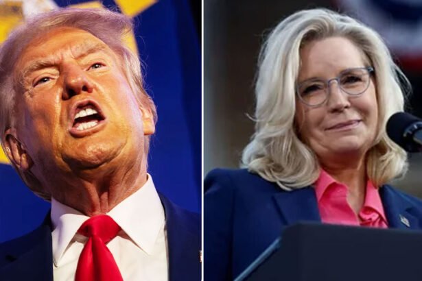 Trump Fuming Over Liz Cheney's 'Spray-Tanning' Jab at Kamala Harris Rally