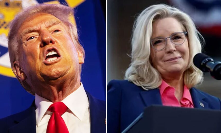 Trump Fuming Over Liz Cheney's 'Spray-Tanning' Jab at Kamala Harris Rally