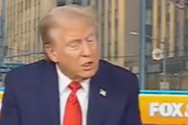 Trump Proclaims Himself 'The Most Stable Human Being’ and Attacks Kamala Harris as 'Low IQ Person' During Fox News Interview