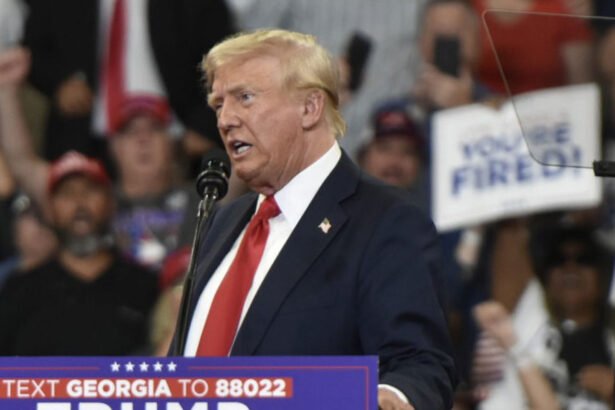 Trump to Work Fry Cooker at McDonald’s on Sunday Following Controversial Sexual Comments About Arnold Palmer