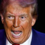 Trump Has Ludicrous Midnight Meltdown While Scaremongering About Harris's 'Dangerous' Seasonal Allergies