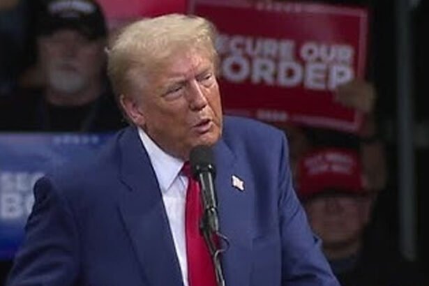 Trump Insists He's Mentally Sane, Slams Biden as Cognitively 'Repaired' in Bizarre Rally Rant