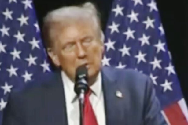 'What Was That Sound?': Trump Accused of Farting, Possibly Soiling Himself on Stage During Detroit Speech