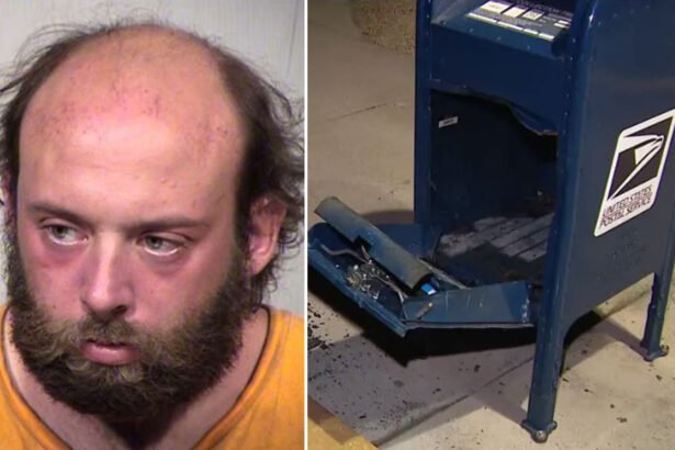 MAGA Fanatic Who Set Phoenix Mailbox on Fire Was on Probation For Other Crimes: Police