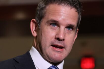 Adam Kinzinger to 'Scared Weak Man' Trump: Come At Me