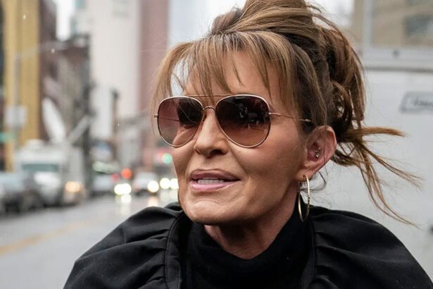 Sarah Palin Seethes at Trump’s Cabinet Snub: 'Funny How Politics Work'