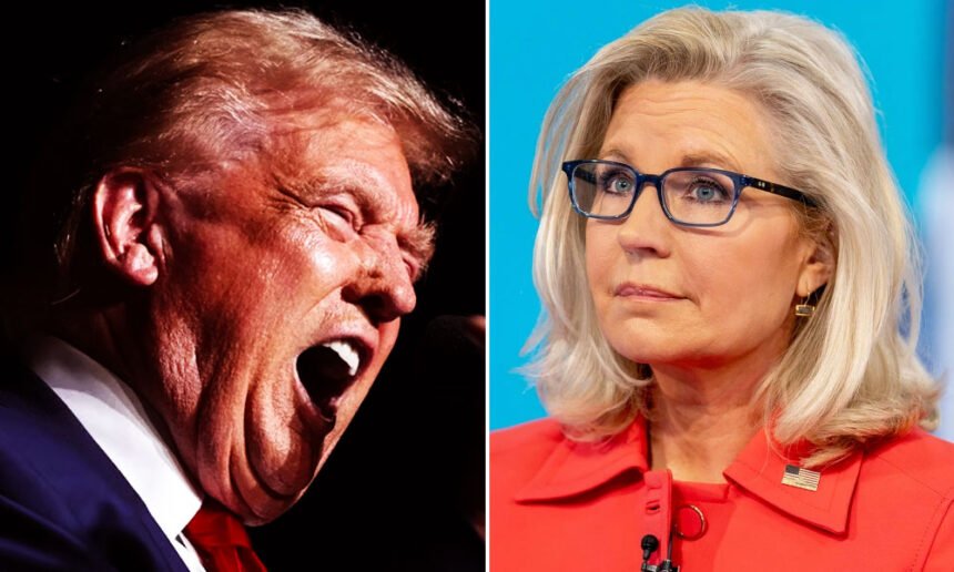 Trump Escalates Violent Rhetoric Against Liz Cheney, Says She Should Face 'Nine Barrels Shooting at Her'