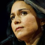 Legal Scholar Claims Trump Nominated Matt Gaetz to Divert Attention From 'Russiann Asset' Tulsi Gabbard