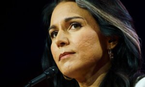 Legal Scholar Claims Trump Nominated Matt Gaetz to Divert Attention From 'Russiann Asset' Tulsi Gabbard