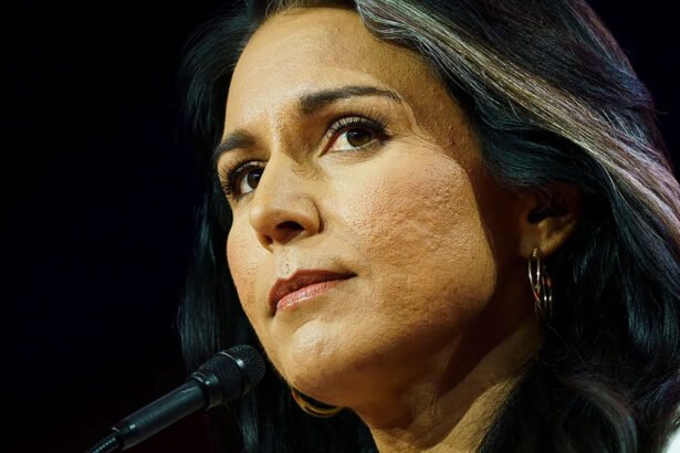 Legal Scholar Claims Trump Nominated Matt Gaetz to Divert Attention From 'Russiann Asset' Tulsi Gabbard