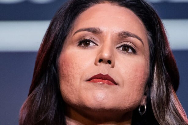 Report: Tulsi Gabbard Was Placed on TSA Watchlist Over Foreign Travel and Connections